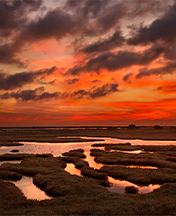 The Evros Delta