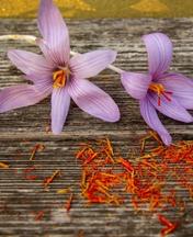 Greek Red Saffron (Krokos Kozanis)