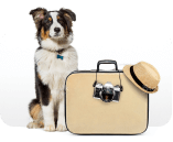 SKY Pet<br/>Viaggiare con un animale domestico